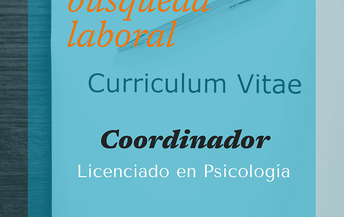 Búsqueda Laboral
